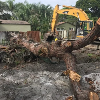 building demolition